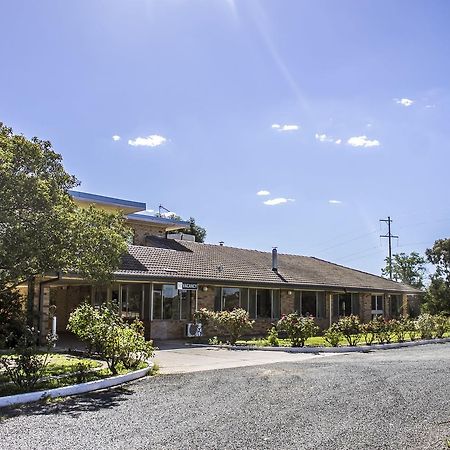Allonville Gardens Motel Wagga Wagga Eksteriør bilde
