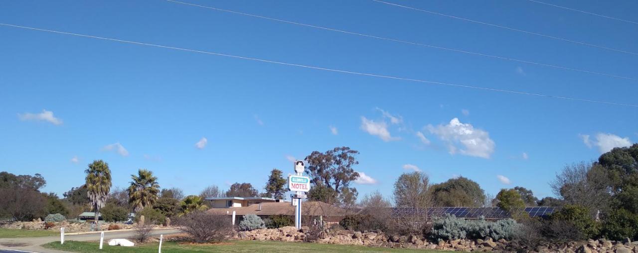 Allonville Gardens Motel Wagga Wagga Eksteriør bilde