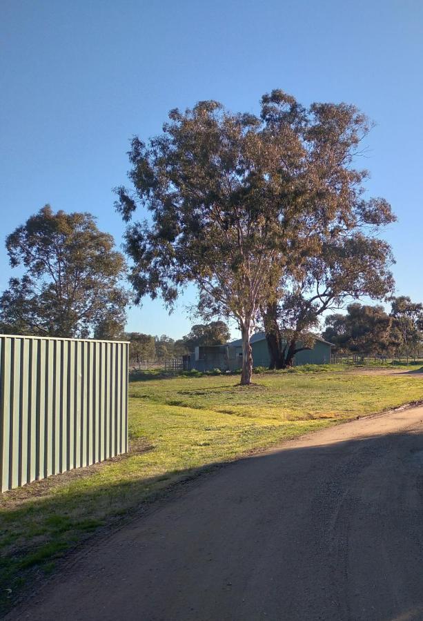 Allonville Gardens Motel Wagga Wagga Eksteriør bilde