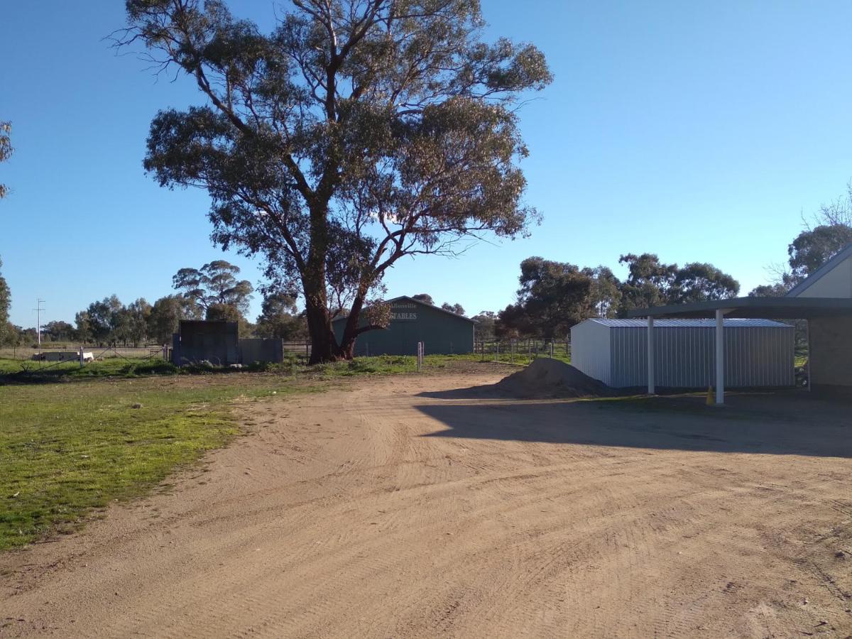 Allonville Gardens Motel Wagga Wagga Eksteriør bilde