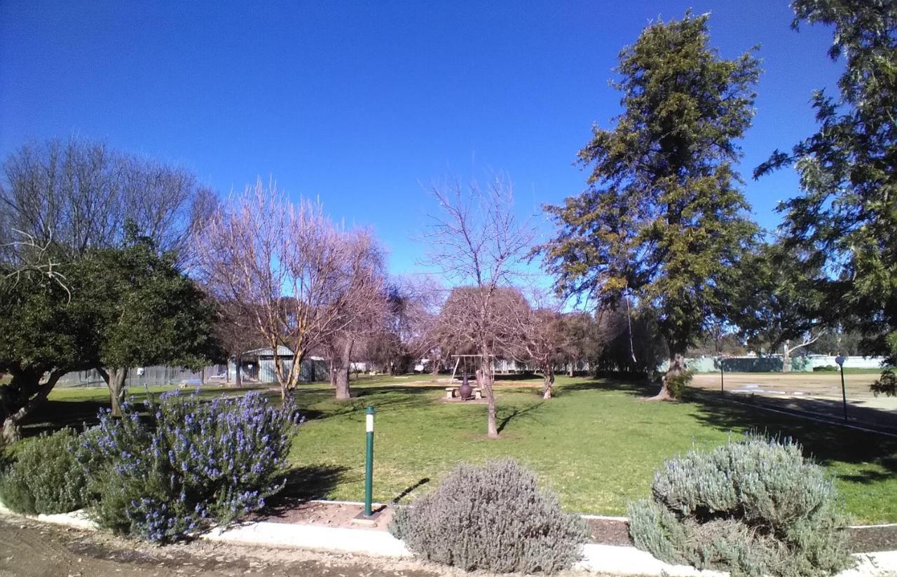 Allonville Gardens Motel Wagga Wagga Eksteriør bilde