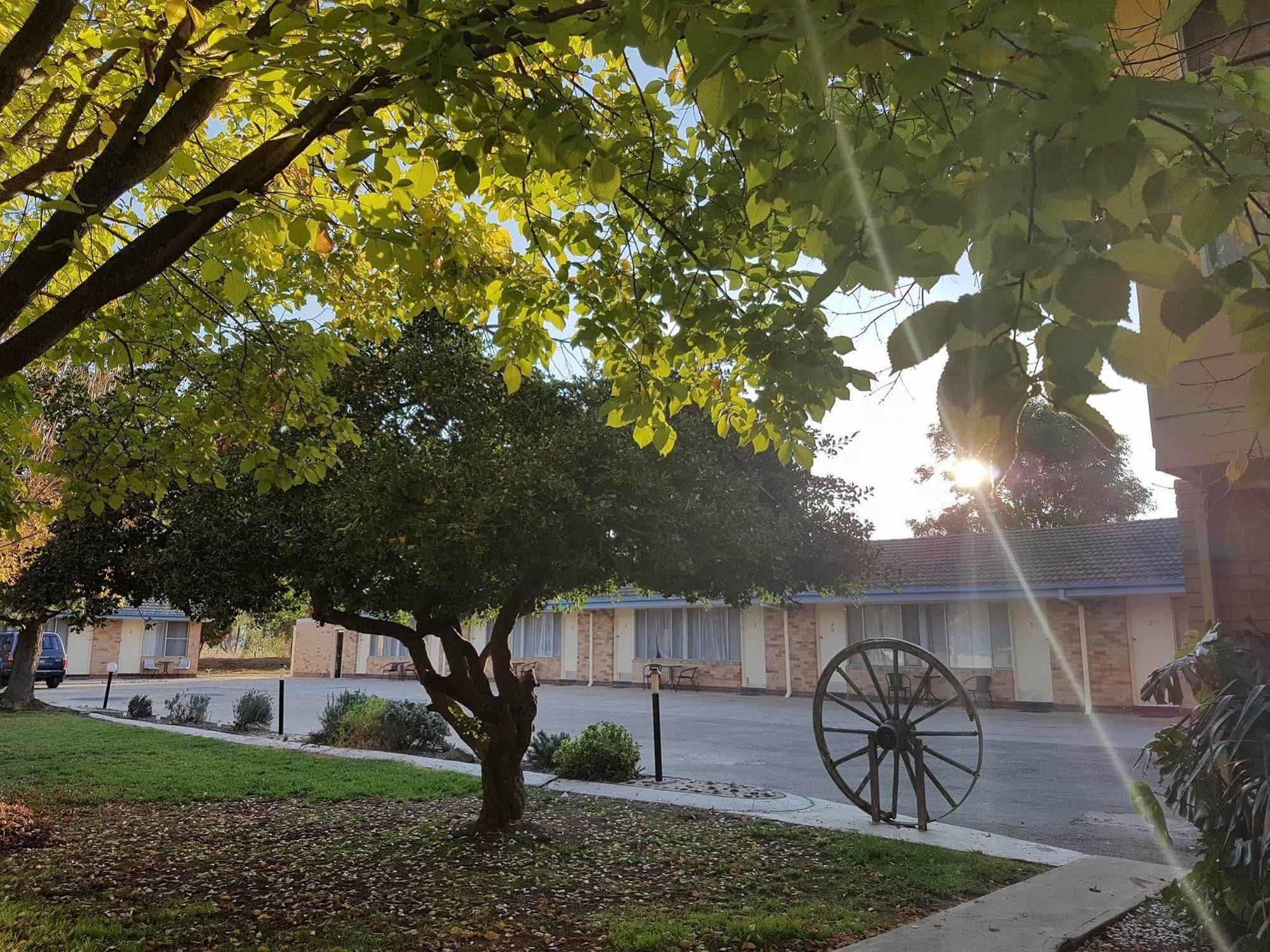 Allonville Gardens Motel Wagga Wagga Eksteriør bilde